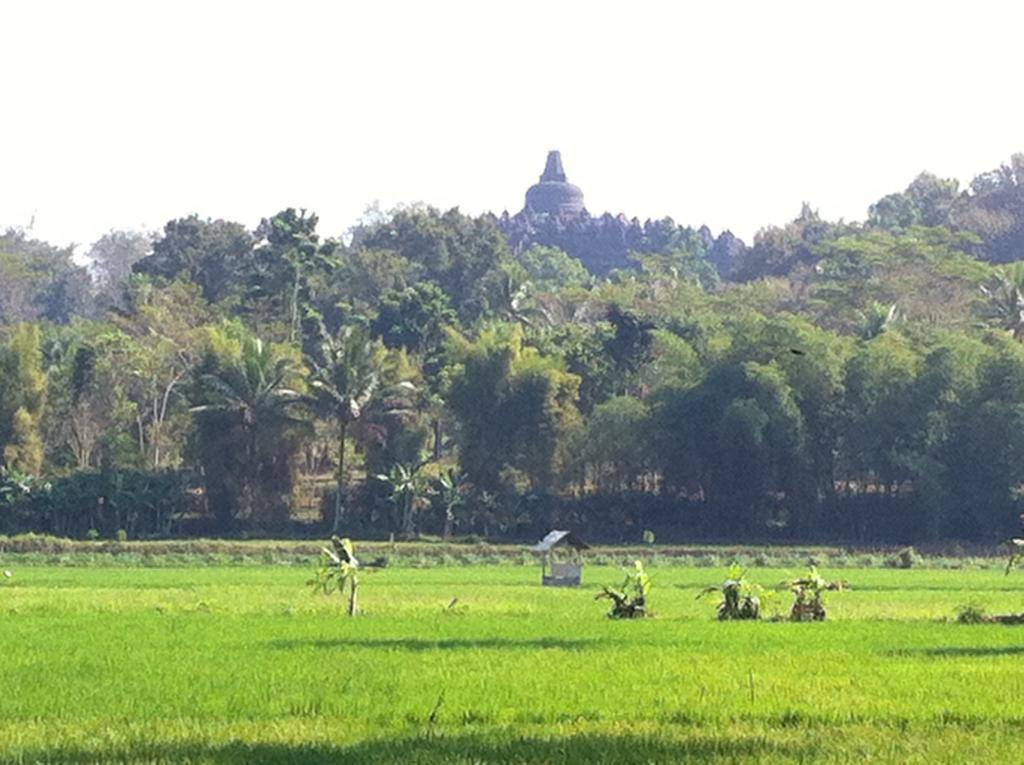 Anugrah Borobudur Магеланг Экстерьер фото